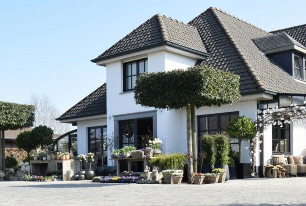 elflorido - elsuelo zarren bloemen en plantenpotten shop