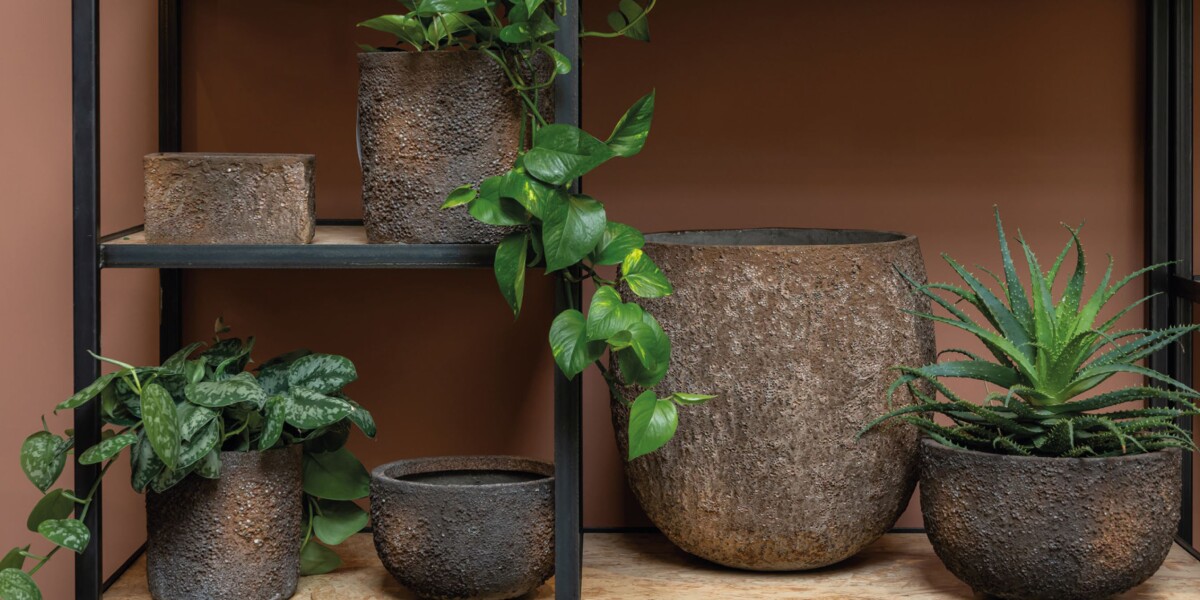 ficonstone bloempotten el suelo