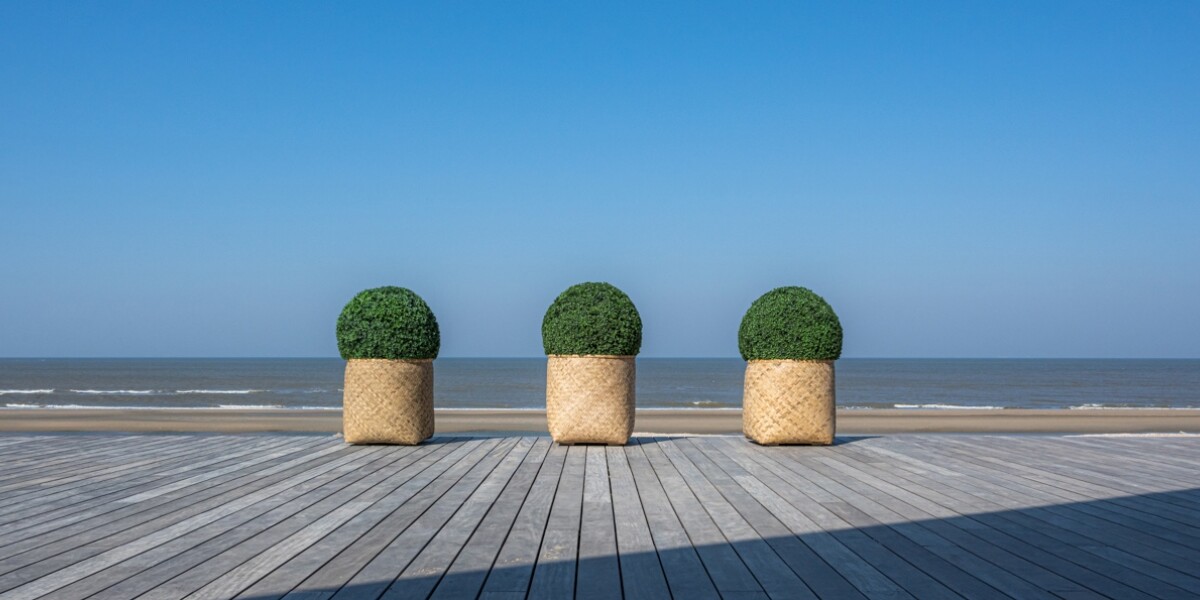 El Suelo bamboe bloempot