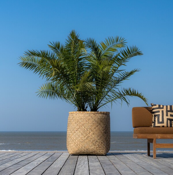 el suelo bloempotten in bamboe