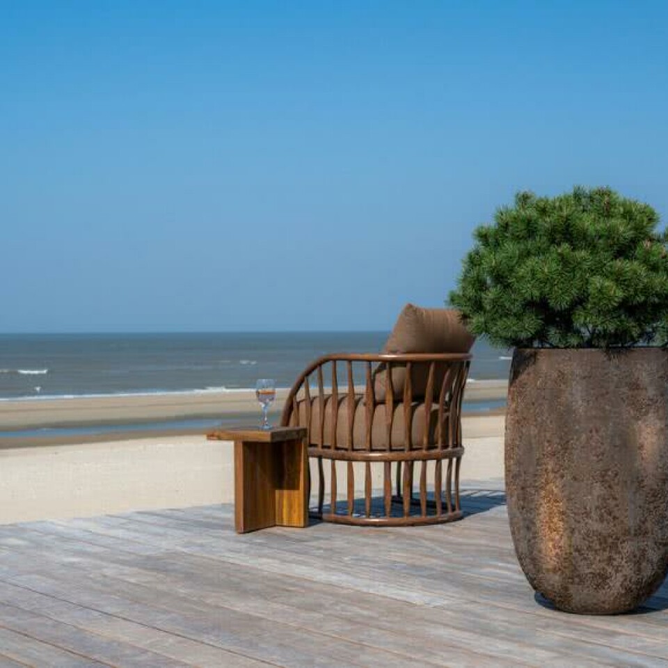 Belon, Imperial Brown