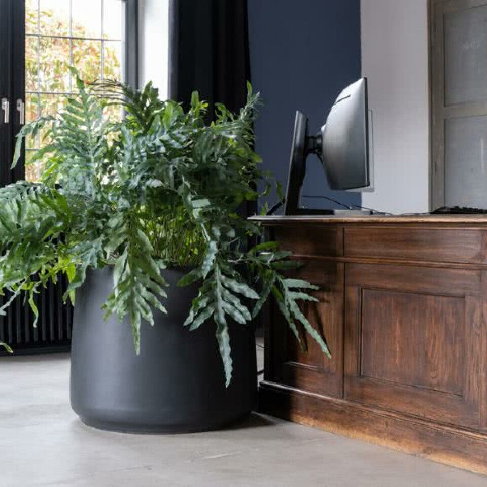 Jumbo Patt S, Black Diam 93 X H 77 black